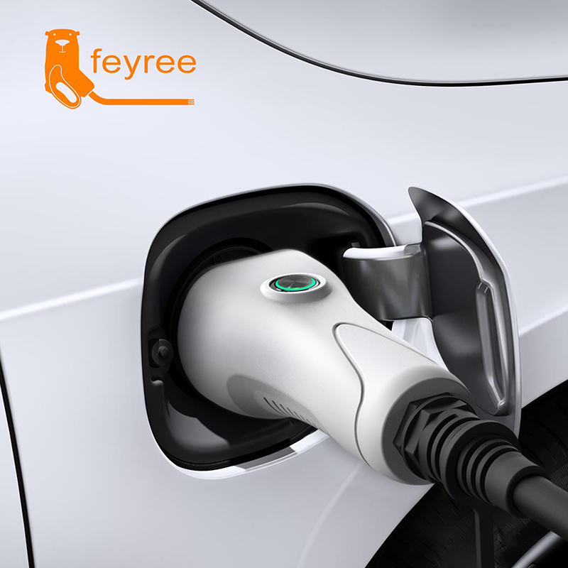 Outdoor Power Station - Cavo Feyree V2L per Auto Elettrica,